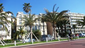 Immagine 400 nuove palme sulla Promenade
