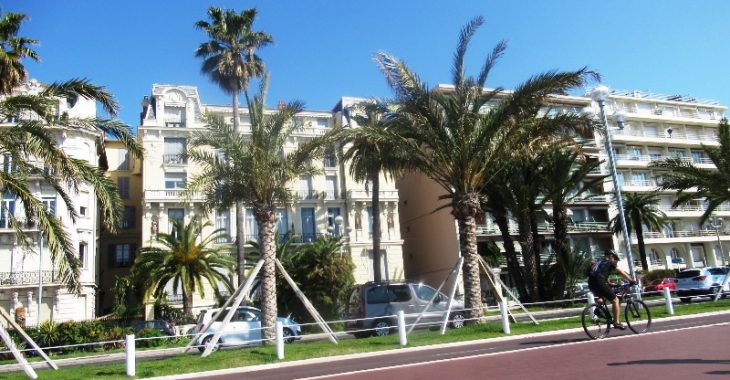 Immagine 400 nuove palme sulla Promenade