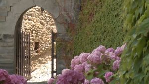 Immagine Cremolino: il castello che guarda dall’alto tutto il monferrato acquese