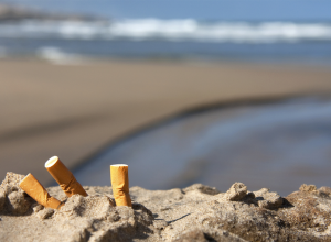 Immagine Monte-Carlo: quest’estate le spiagge saranno “smoke free”
