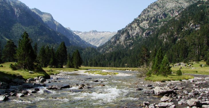 Immagine Ampliamento del parco naturale di Roquevignon a Grasse. Ora si estende per 21 ettari