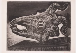 Immagine Picasso e le incisioni, apre una nuova mostra a Mougins