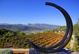 Immagine Il vino di Bellet festeggia 82 anni di AOC, imponendosi come una delle eccellenze di Nizza