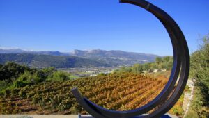 Immagine Le vin de Bellet célèbre ses 82 ans d’appellation d’origine contrôlée (AOC), s’imposant comme l’une des excellences de Nice.