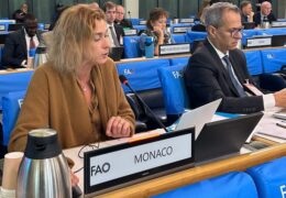 Immagine Monaco partecipa alla 51ª sessione del Comitato per la Sicurezza Alimentare Mondiale