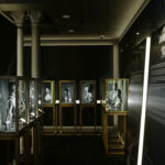 Immagine Damiani 100×100 italiani: La mostra esclusiva che celebra il centenario della Maison di gioielli