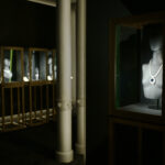 Immagine Damiani: 100×100 Italiani: The exclusive exhibition celebrating the centenary of the jewelry Maison.