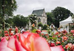Immagine Torna la “Fête des roses et des plantes” di Saint Jean Cap Ferrat