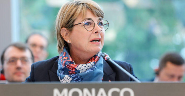 Immagine Monaco participates in the 133rd Ministerial Session of the Council of Europe