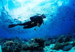 Immagine Championnat inaugural de photographie sous-marine « Trofeo Blu » à Roquebrune Cap-Martin