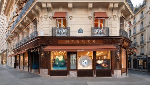 Immagine Hermès: Un Simbolo di Lusso e Eleganza