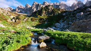 Immagine Que visiter dans les Alpes Maritimes : Un Voyage Entre Nature et Culture