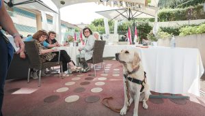 Immagine Le Centre Rainier III accueille sa première collaboratrice canine