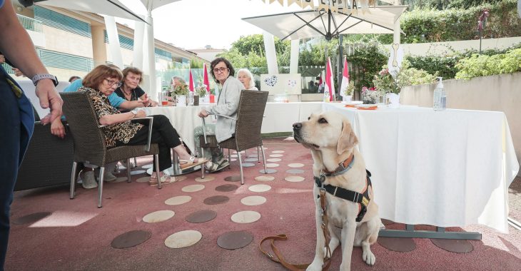 Immagine Il Centro Rainier III accoglie la sua prima collaboratrice canina