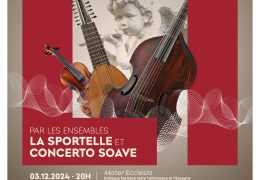 Immagine Concerti di Musica Barocca 2024