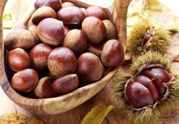 Immagine The 25th Chestnut Festival in Cagnes-sur-Mer