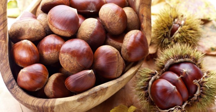 Immagine The 25th Chestnut Festival in Cagnes-sur-Mer