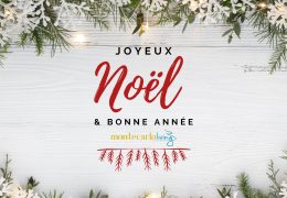 Immagine Joyeux Noël et Bonne Année