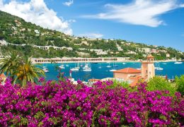 Immagine Provençal: The Dialect of the French Riviera