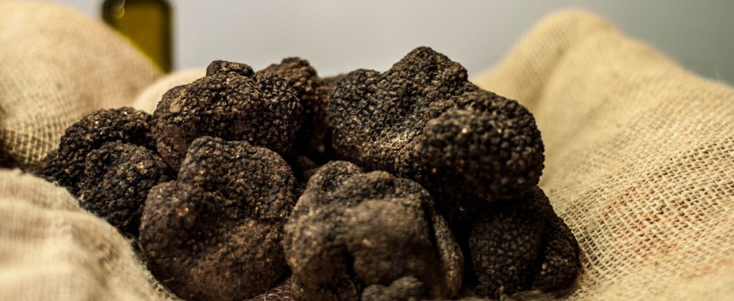 Immagine The 8th edition of the Saint-Laurent-du-Var Truffle Festival