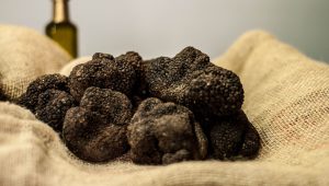 Immagine L’8ª edizione della Festa del Tartufo di Saint-Laurent-du-Var