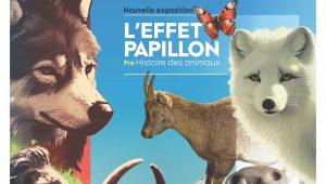 Immagine The exhibition “L’EFFET PAPILLON- La pré-histoire des animaux” continues throughout 2025