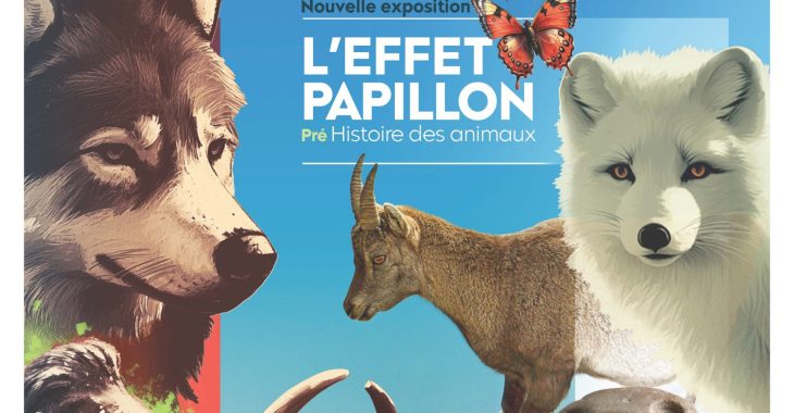 Immagine The exhibition “L’EFFET PAPILLON- La pré-histoire des animaux” continues throughout 2025