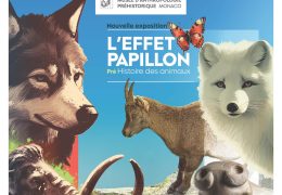 Immagine L’esposizione “L’EFFET PAPILLON- La pré-histoire des animaux” continua per tutto il 2025