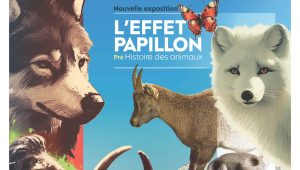 Immagine L’esposizione “L’EFFET PAPILLON- La pré-histoire des animaux” continua per tutto il 2025