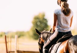 Immagine Where to ride horses on the French Riviera: a unique experience between sea and mountains