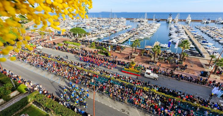 Immagine Mandelieu la Napoule Mimosa Festival 2025