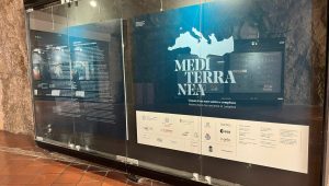 Immagine La Nuova Mostra “Mediterranea” alla Galerie des Pêcheurs di Monaco