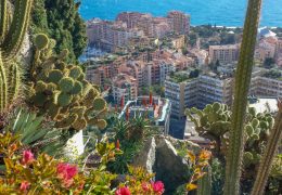 Immagine The Most Beautiful Gardens of the Principality of Monaco: An Explosion of Nature in the Heart of Luxury