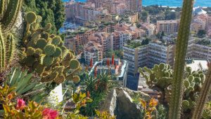 Immagine The Most Beautiful Gardens of the Principality of Monaco: An Explosion of Nature in the Heart of Luxury