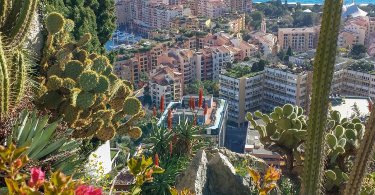 Immagine I Giardini più Belli del Principato di Monaco: Un’Esplosione di Natura nel Cuore del Lusso