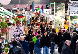 Immagine Foire de Nice 2025: Un Evento Imperdibile per Tutta la Famiglia