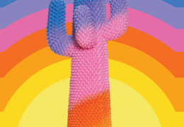 Immagine Le Nouveau Musée National de Monaco inaugure l’exposition « Cactus » à la Villa Sauber