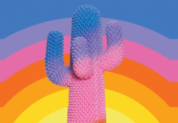 Immagine Il Nuovo Museo Nazionale di Monaco inaugura la mostra “Cactus” a Villa Sauber