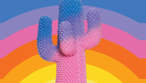 Immagine Il Nuovo Museo Nazionale di Monaco inaugura la mostra “Cactus” a Villa Sauber