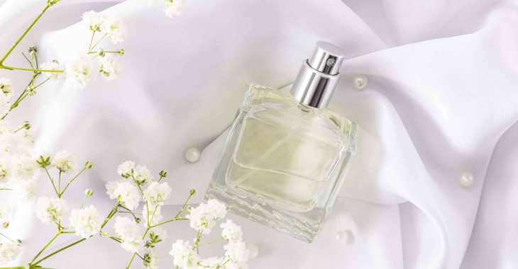 Immagine A Fragrant Future: Grasse Launches a Training Program for Young Talents in Scents and Flavours