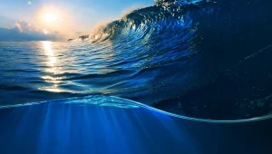 Immagine Blue Futures: Monaco premia l’innovazione giovane per salvare gli oceani