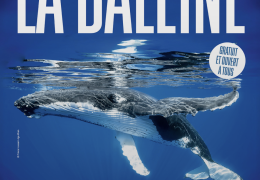 Immagine Nice Turns Blue with La Baleine, the Spectacular Ocean-Themed Immersive Installation