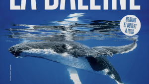 Immagine Nizza si tinge di blu con La Baleine, la spettacolare installazione immersiva dedicata all’oceano