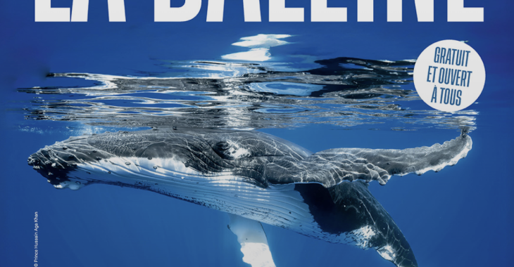 Immagine Nice Turns Blue with La Baleine, the Spectacular Ocean-Themed Immersive Installation