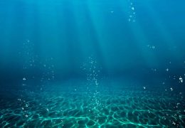 Immagine Nice Ocean Week 2025: Cinque Giorni per il Futuro del Mare