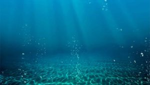 Immagine Nice Ocean Week 2025: Cinque Giorni per il Futuro del Mare