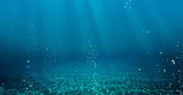 Immagine Nice Ocean Week 2025: Five Days for the Future of the Sea