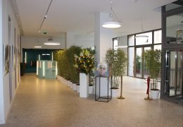 Immagine “In the Garden of Memory”: Art as a Journey Through Nature, Dreams and Remembrance in Beausoleil
