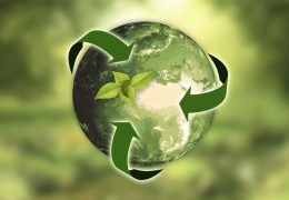 Immagine Jeudi 5 juin 2025 : Journée mondiale de l’Environnement