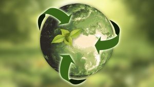 Immagine Giovedì 5 giugno 2025: Giornata Mondiale dell’Ambiente